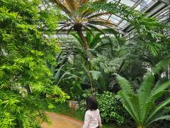 -国家植物园南园