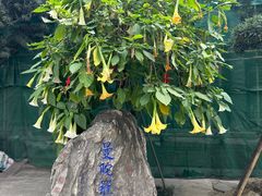 -古大圣慈寺