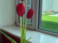 -红顶食府(滨湖九号店)