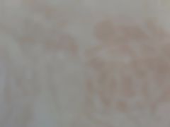 -团子君寿司·茶