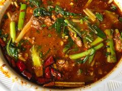 -月圆霖特色农家乐