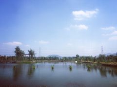 -同銮特种养殖场·龙虾垂钓