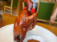 -大鸽饭(马王堆店)