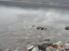 -维乐口腔医院(星海湾分院)