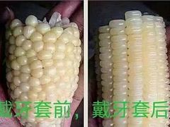 -食锦记·福建私房菜(万宝广场店)
