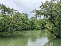-上海吴淞炮台湾国家湿地公园