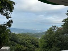 -广州市帽峰山景区