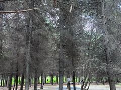 -长春市南湖公园