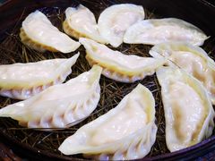-松针蔡记蒸饺(花园路店)