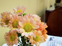 -维兰西餐(万泉河店)