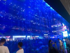 -成都浩海立方海洋公园