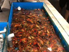 -星伦多海鲜自助餐厅(万达百货店)