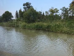 -长兴太湖图影湿地文化园