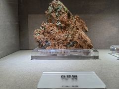 -陕西自然博物馆