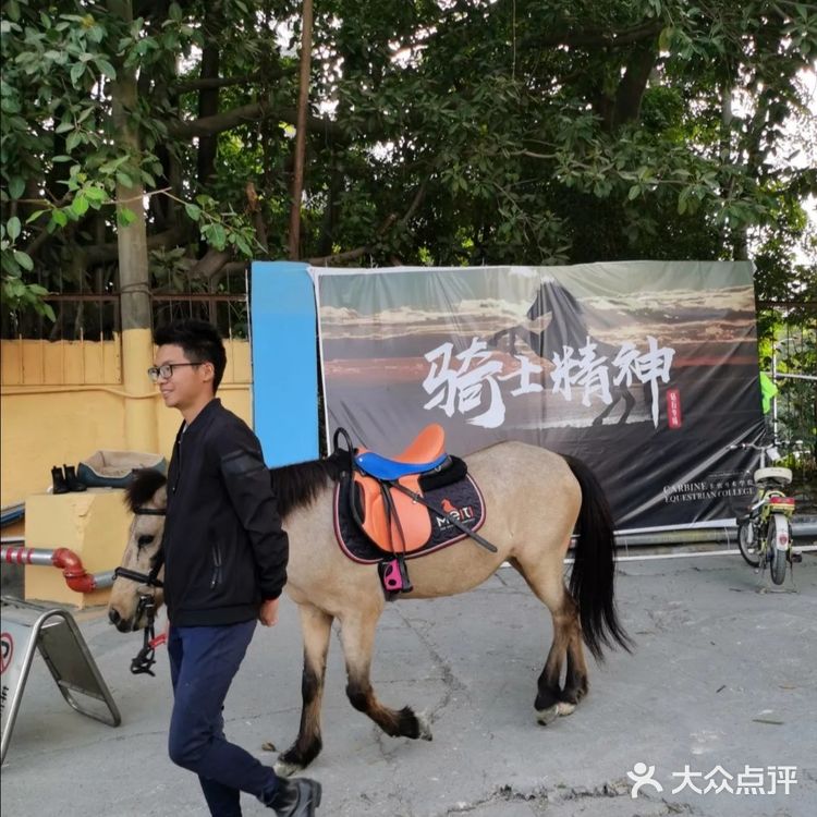 可是今天告诉大家，娃娃也可以培养马术的呢！