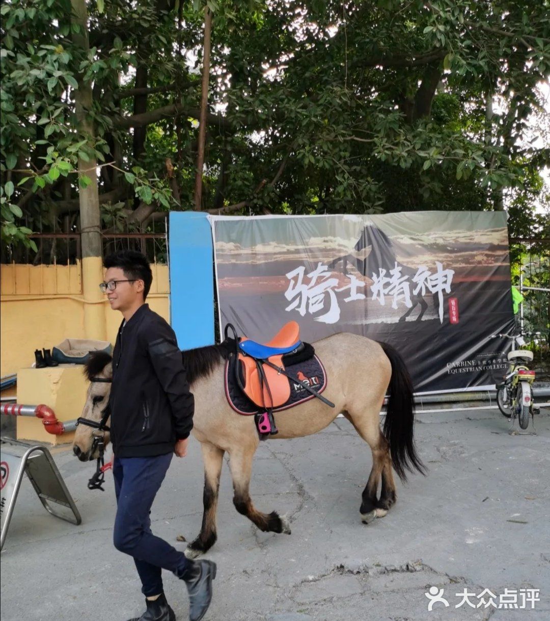 可是今天告诉大家，娃娃也可以培养马术的呢！