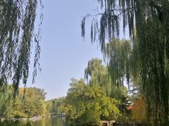 景点-北京动物园