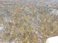 -楠溪江风景名胜区