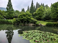 -习家池