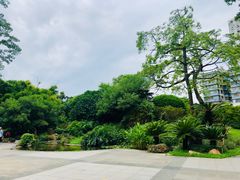 -晓港公园