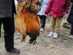 -金堂县云顶石城风景区