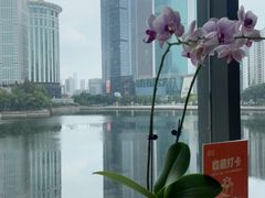 -珈境湖畔餐厅·湖北菜·江浙菜•樱花季(西北湖店)