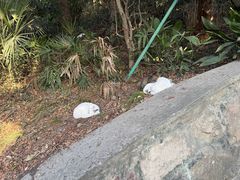 -狼山风景名胜区