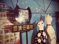 -宝旺姜母鸭(顶澳仔猫街店)