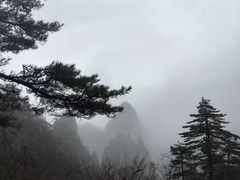-黄山风景区