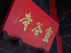 -灵谷景区