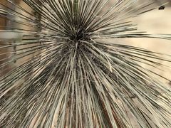 -北京植物园-展览温室