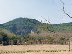 -上海佘山国家森林公园天马山园