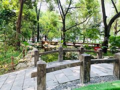 -成都市活水公园