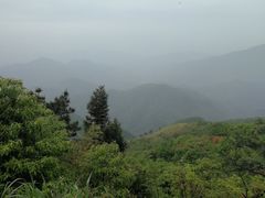 -湖南四明山国家森林公园