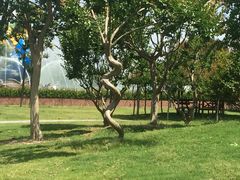 -南通洲际绿博园