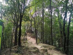 -南山植物园