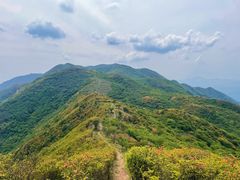 -大围山国家森林公园