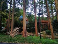 -东明山森林公园