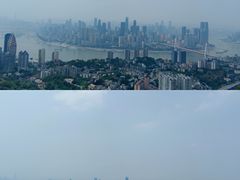 -南山植物园