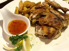 -百好乐宠物友好餐厅(朝外大街店)