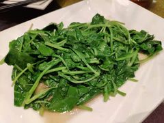 -潮福汇