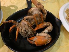 -莲花公园煎蟹(总店)