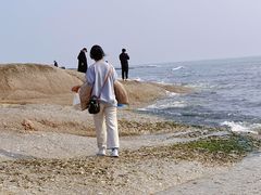 -刘家湾赶海园