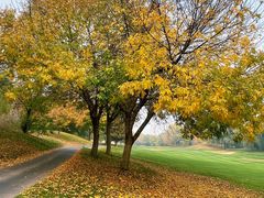 -万柳高尔夫俱乐部