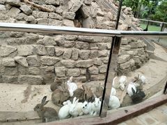 -呀路古热带植物园