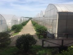 -上膳源有机农场