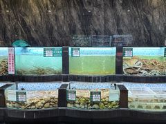 -德天肥牛海鲜火锅(城西银泰店)
