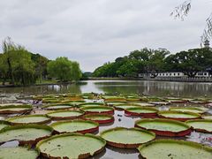 -江心屿景区