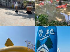 -三亚蜈支洲岛旅游区