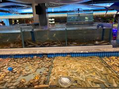 -一方渔歌蒸汽海鲜自助(文化路万达广场店)